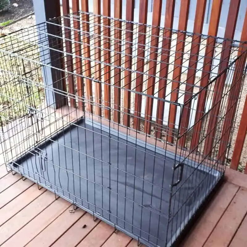 What is the right size crate for a Cane Corso